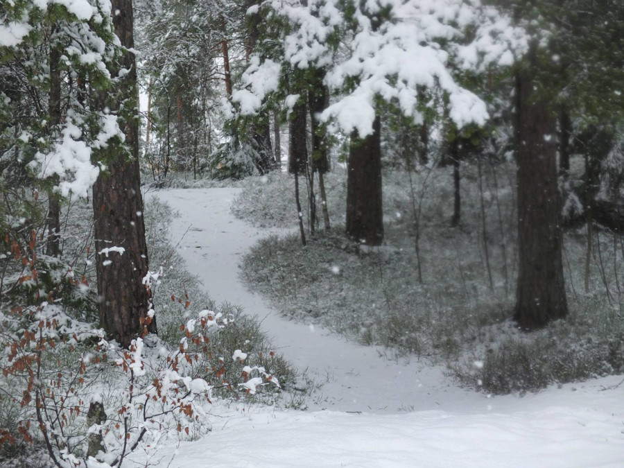 The Finnish winter