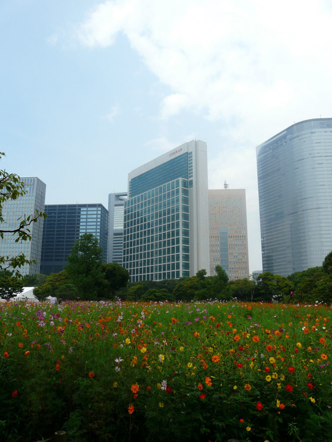 Park w Tokio