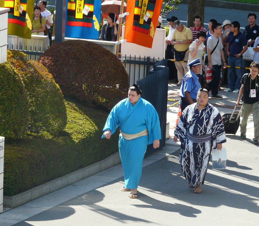 Sumo w kimonie