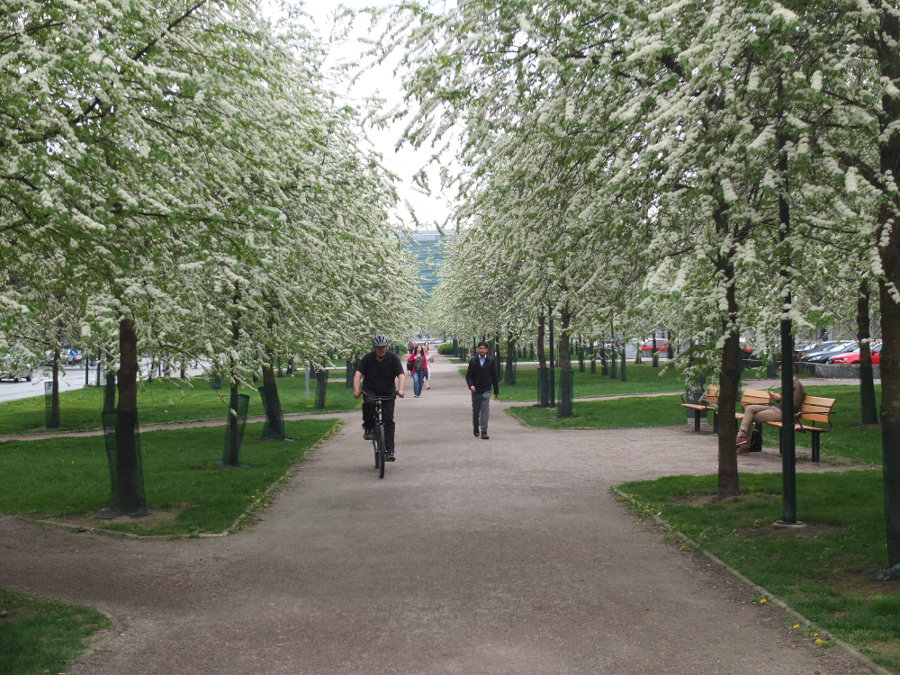 Wiosna w centrum miasta w Finlandii